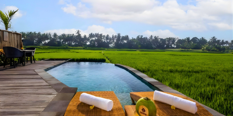 12 (2) 12 2 5 WOLO Travel